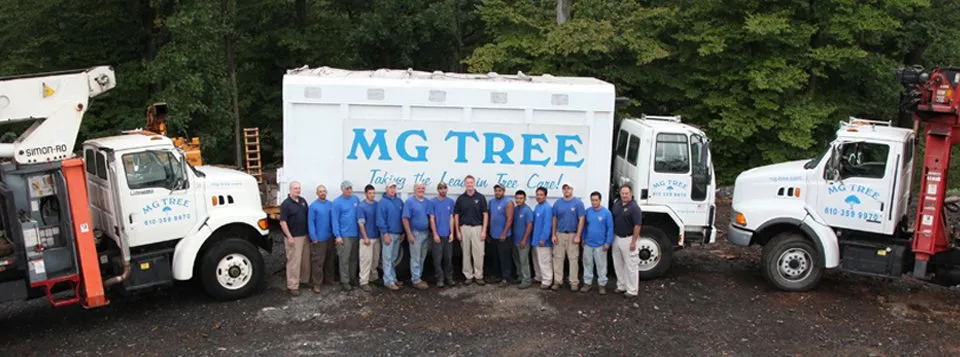 our team-960x357-1920w
